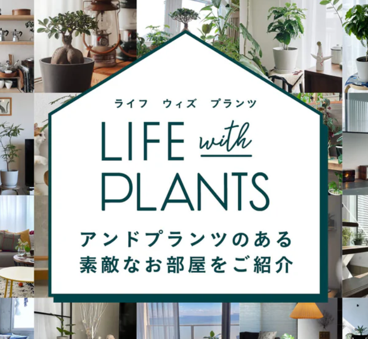 AND-PLANTS-アンドプランツ-観葉植物・お花の通販-09-26-2024_03_31_PM