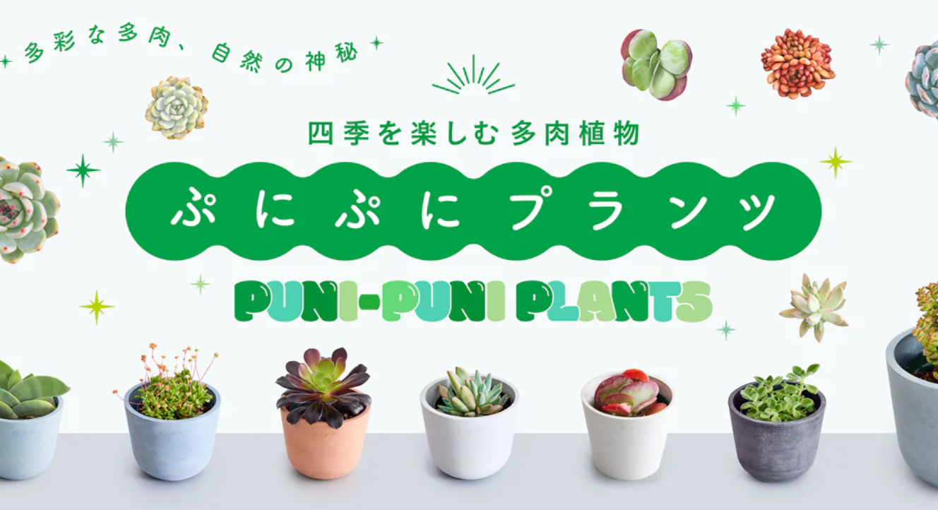 AND-PLANTS-アンドプランツ-観葉植物・お花の通販-09-26-2024_03_32_PM