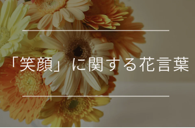 「笑顔」に関する花言葉｜笑顔が素敵な人に贈りたい明るい花言葉一覧-観葉植物・お花の通販-AND-PLANTS-アンドプランツ--09-26-2024_03_31_PM