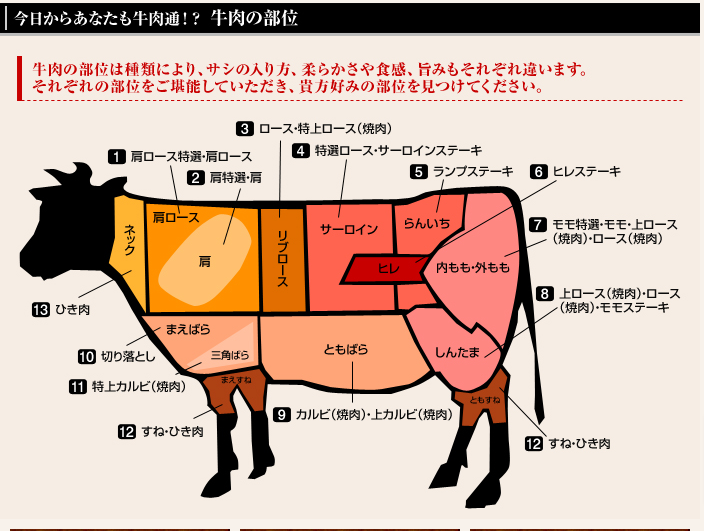 牛肉の部位｜米沢牛専門店-さかの